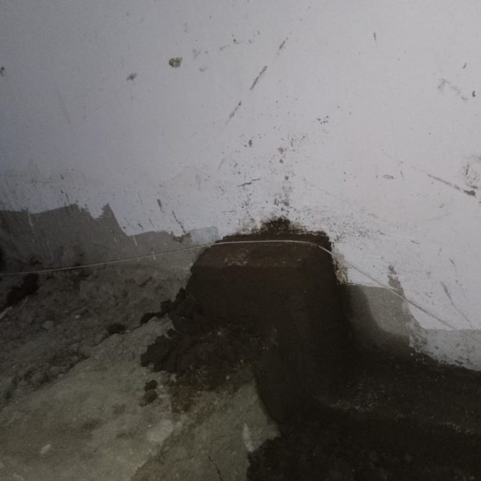 whatsapp image 2026 04 19 at 4.30.18 pm (1) copy